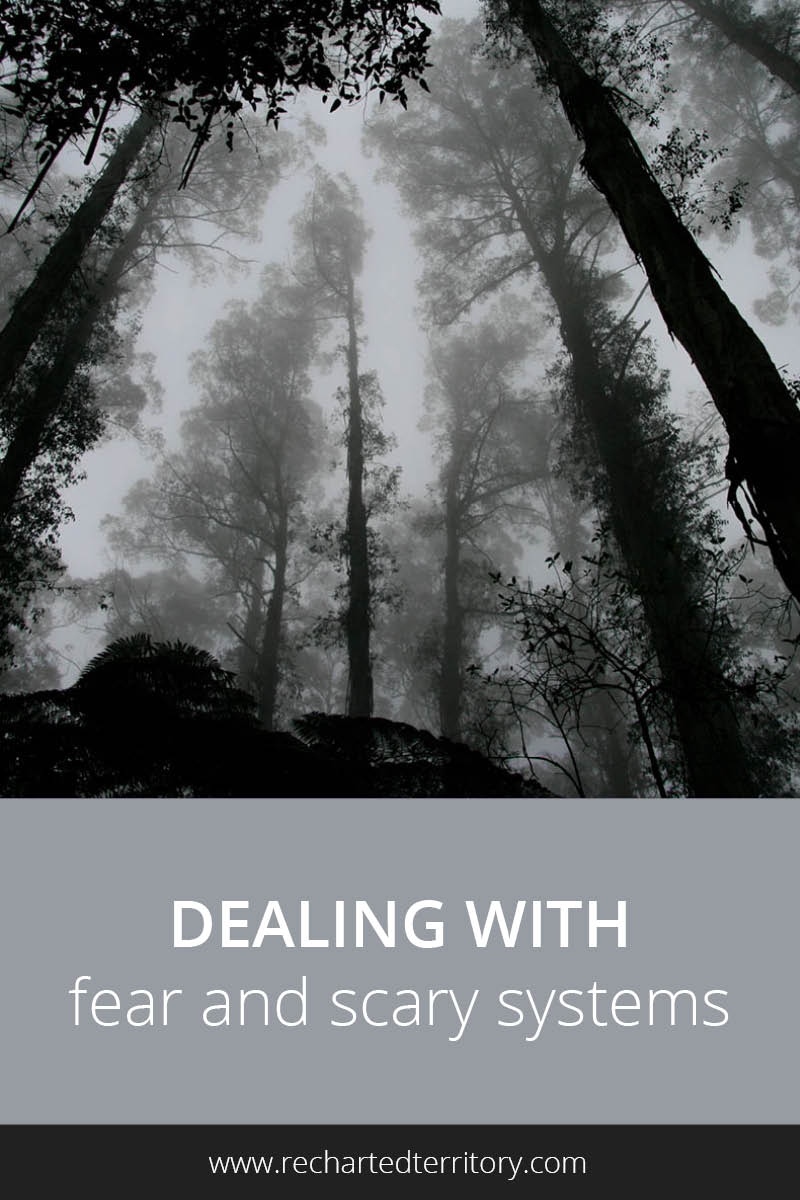 Dealing with fear and scary systems