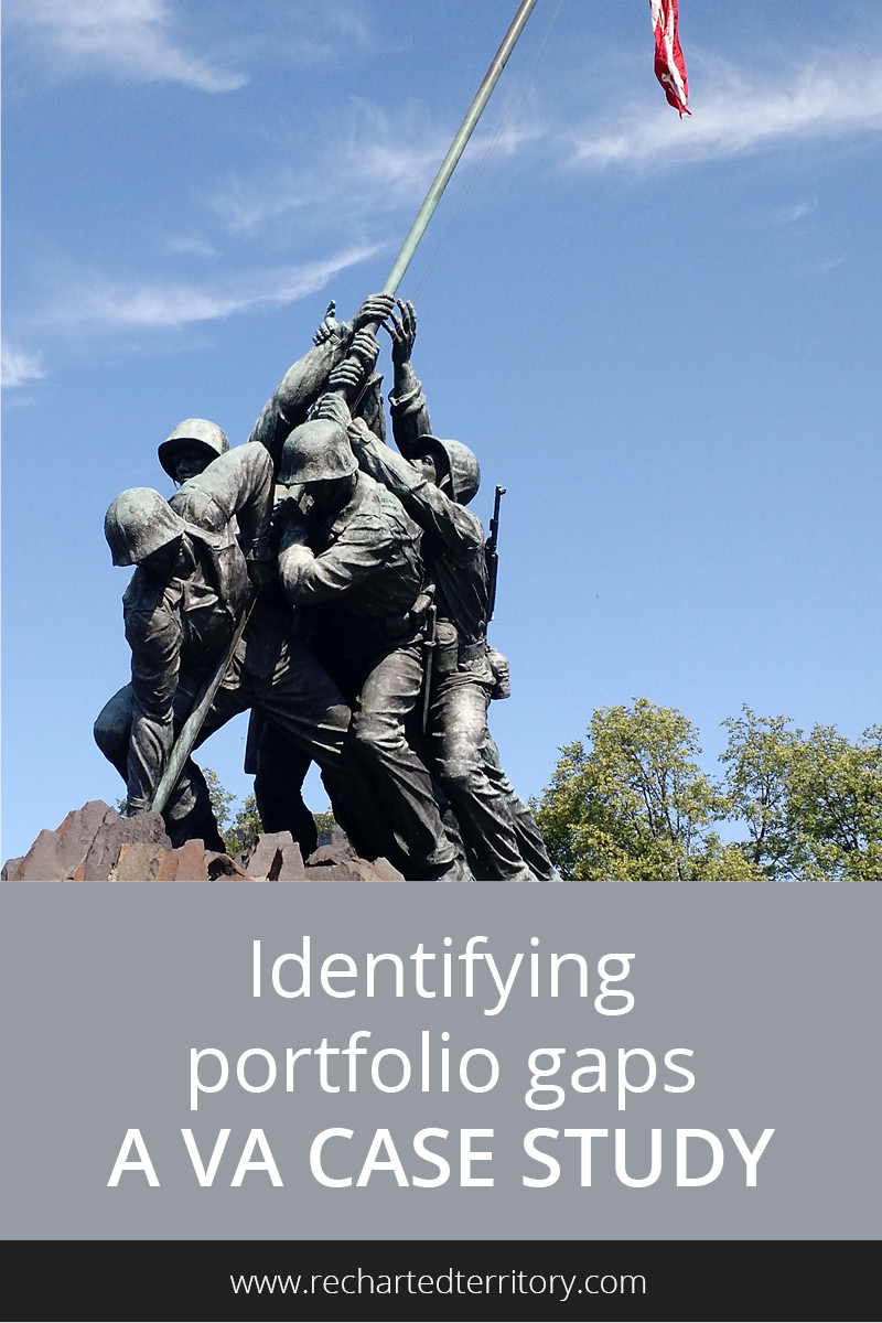 Identifying portfolio gaps: A VA case study