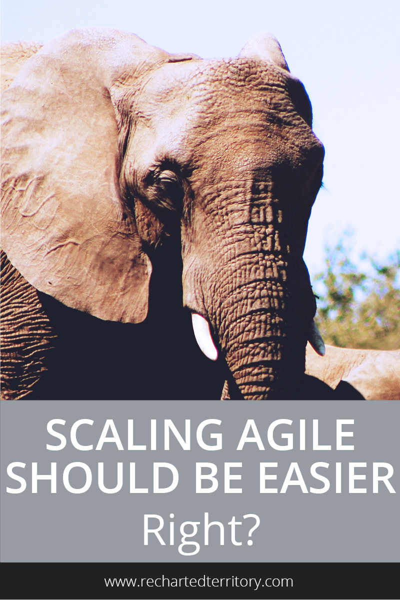 Scaling agile should be easier